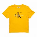 Tee shirt logo CK manches courtes coton Enfant CALVIN KLEIN