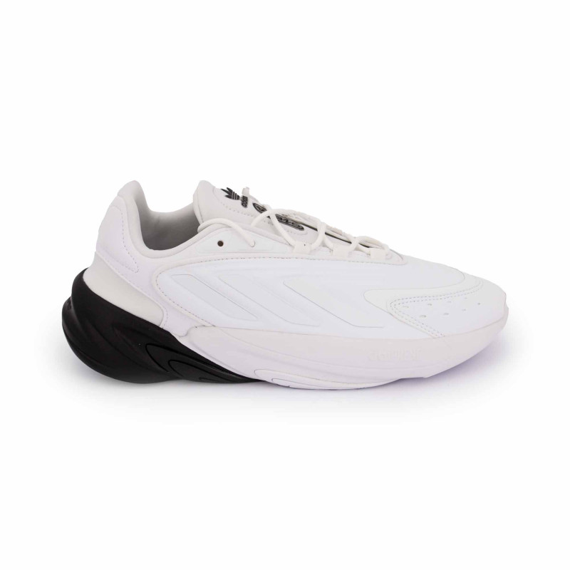 Adidas blanche basse online