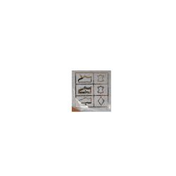Sandale compensee 16573 36-41 Femme BIOSTOCK Sandale compensee 16573 36-41 Femme BIOSTOCK