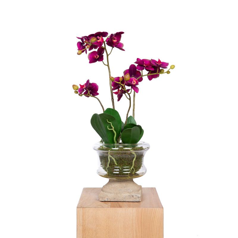 Orchidee pot en verre petit Mixte SIA