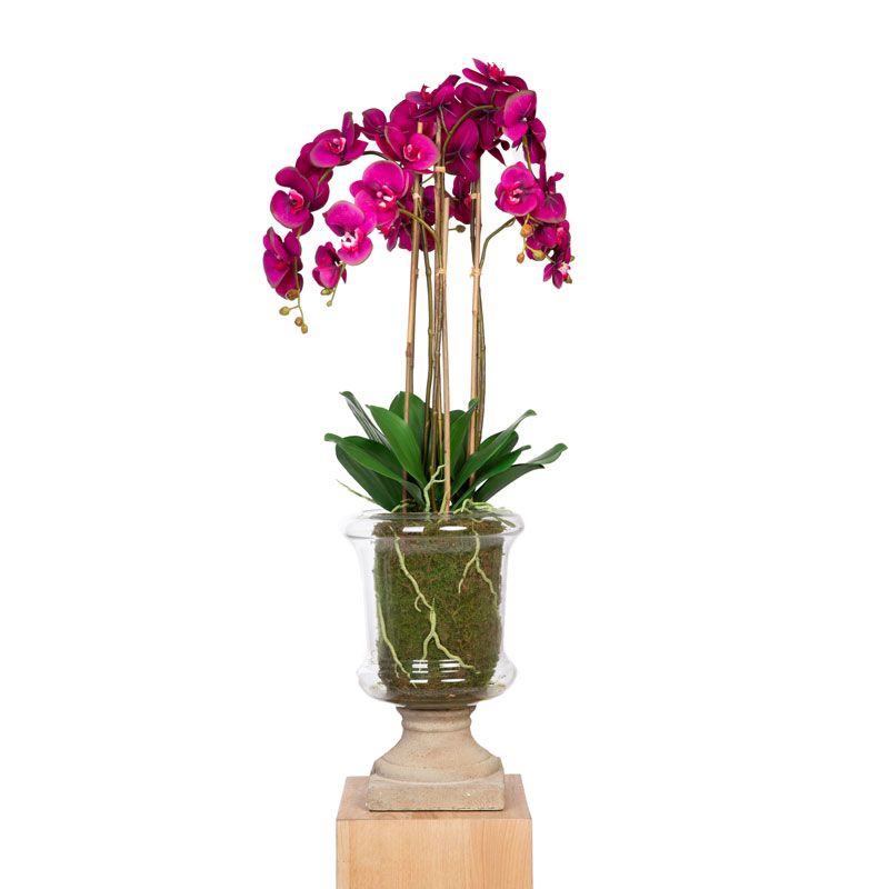 Orchidee pot en verre marylin large Mixte SIA