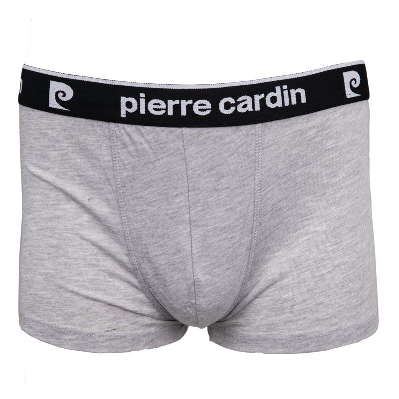 BOXER HOMME EN COTON,PIERRE CARDIN