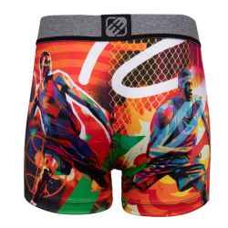 BOXER HOMME MICROFIBRE FREEGUN FGPA75/1/BM/BAS BOXER HOMME MICROFIBRE FREEGUN FGPA75/1/BM/BAS