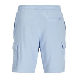 Short jpstkane iceberg green 12269442 4236 Homme JACK & JONES