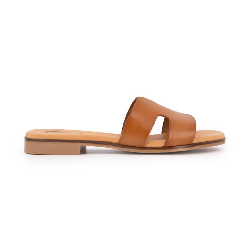 MULE AVELLANA 3053 T36/41