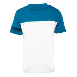 Tee shirt blue sapphire heritage 2510049 Homme LE COQ SPORTIF
