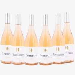 Lot de 6 bouteilles bompuys rose aop 2023 Mixte BOMPUYS