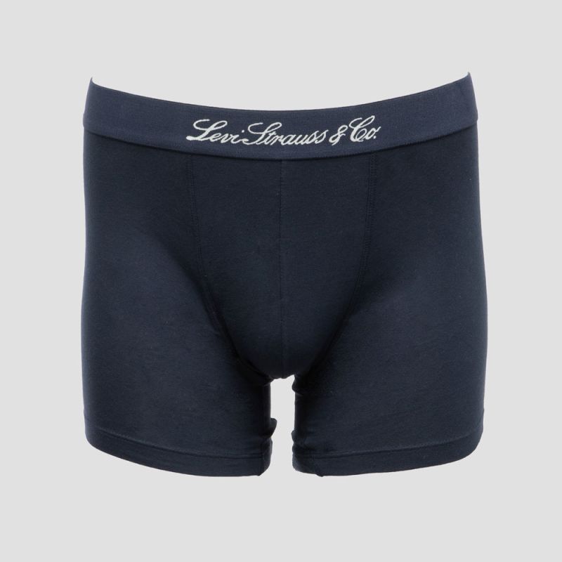 Lot 2 boxers navy combo wstrn 701235950001801 Homme LEVI'S