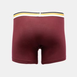 Boxer red/black logo brief org 701222843016801 Homme LEVI'S