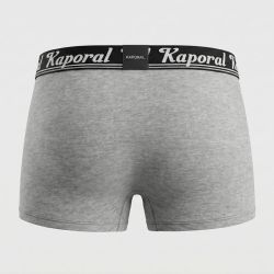 Boxer tibor Homme KAPORAL