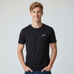 Tee shirt mc col rond jolano 3690 Homme CHEVIGNON