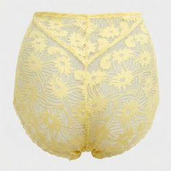 Culotte dentelle taille haute solana Femme MINELLI