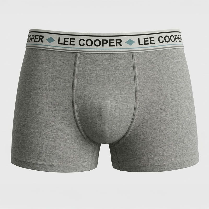Lot de 3 boxers loreto Homme LEE COOPER