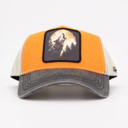 Casquette hat/1/ct/wolf Homme HATFIELD