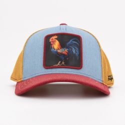 Casquette hat2/1/ct/cock2 Homme HATFIELD