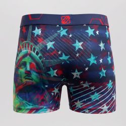 Boxer microfibre statue fgpa91/1/bm/sta Homme FREEGUN