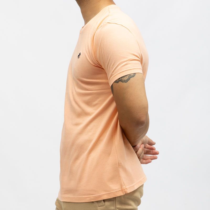 Tee shirt avec cavalier brodé en coton Homme AMERICAN COLLEGE