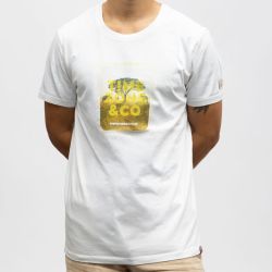 Tee shirt 0100 pure white 22-10286-10-6111 Homme TIMEZONE