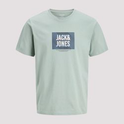 Tee shirt jwhhudson iceberg green 12305078 4573 Homme JACK & JONES