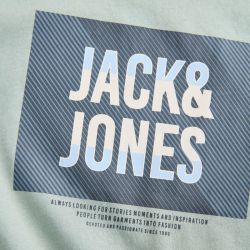 Tee shirt jwhhudson iceberg green 12305078 4573 Homme JACK & JONES